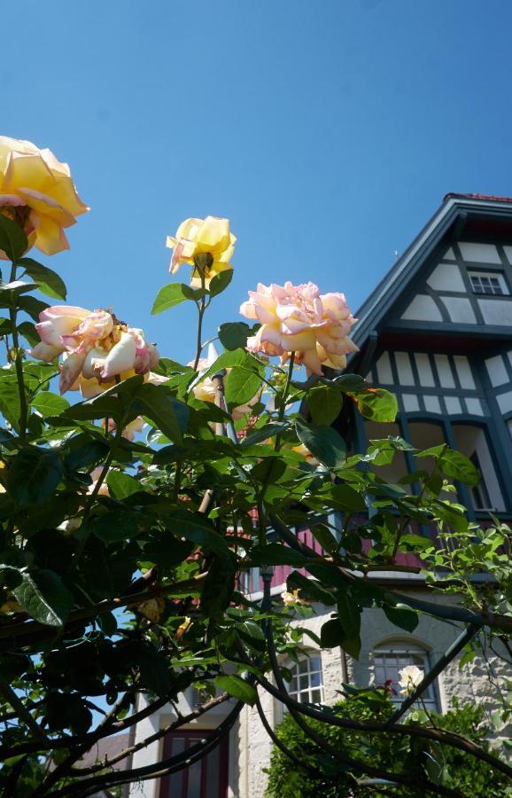 Villa Beckmann ゲンゲンバッハ エクステリア 写真